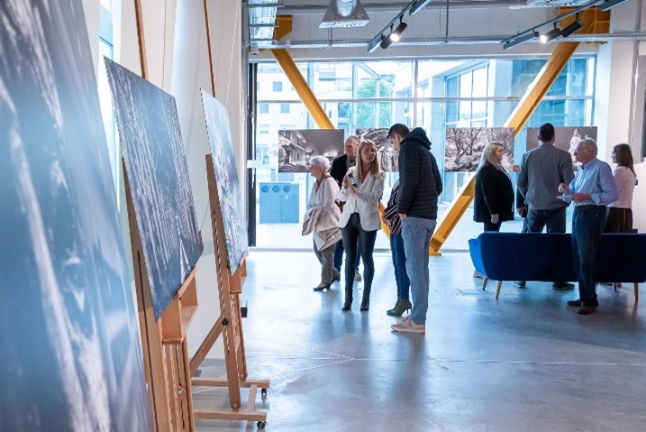 The exhibition of black and white works will be on display for a month in the main hall of the Győr Innovation Park 